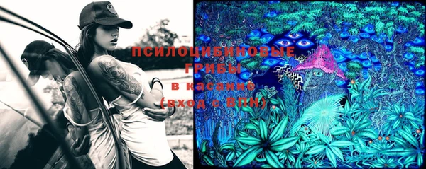 a pvp Володарск