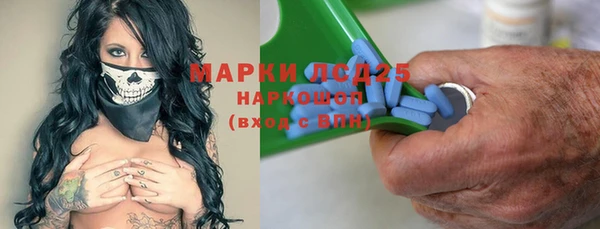 шишки Верея