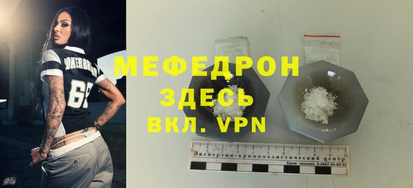 индика Няндома